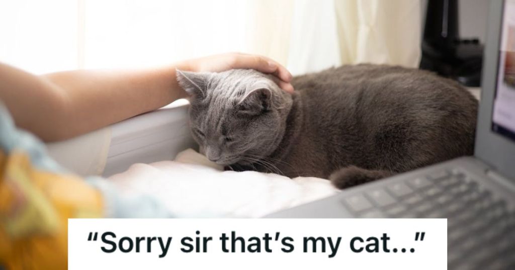 Man working beside his cat