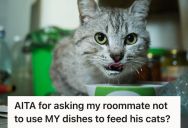 Man Asked His Roommate Not To Use His Personal Dishes For His Cats, But His Roommate Started Gaslighting Him And Accused Him Of Overreacting