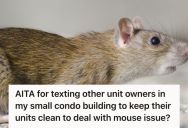 Woman Shared An Article About Preventing Mice In The Condo Group Chat, But One Got Offended And Accused Her Of Implying Her Unit Was Dirty
