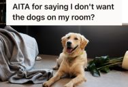 Teenage Girl Asked Her Mom To Shut Her Bedroom Door So Dogs Wouldn’t Follow Her, But Her Mom Called Her Snotty And Disrespectful