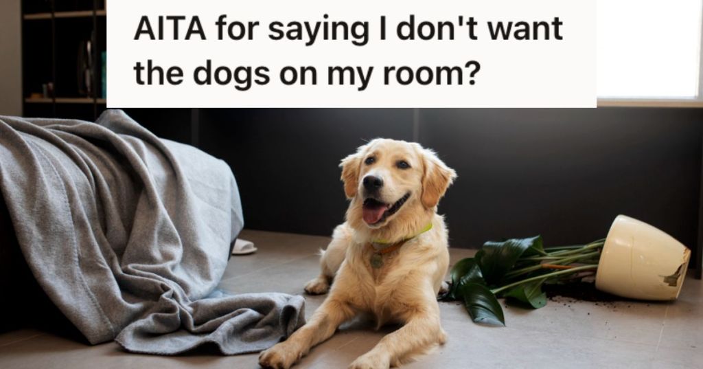 Dog sitting on the floor of a messy room