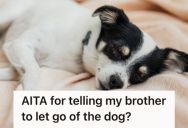 Woman Stopped Her Younger Brother From Grabbing Their Chiweenie While It Was Resting, But Her Mom Accused Her Of Overreacting About The Dog