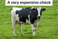 Man Is Annoyed That He Has To Pay His Neighbor, So He Writes The Check On A Cow