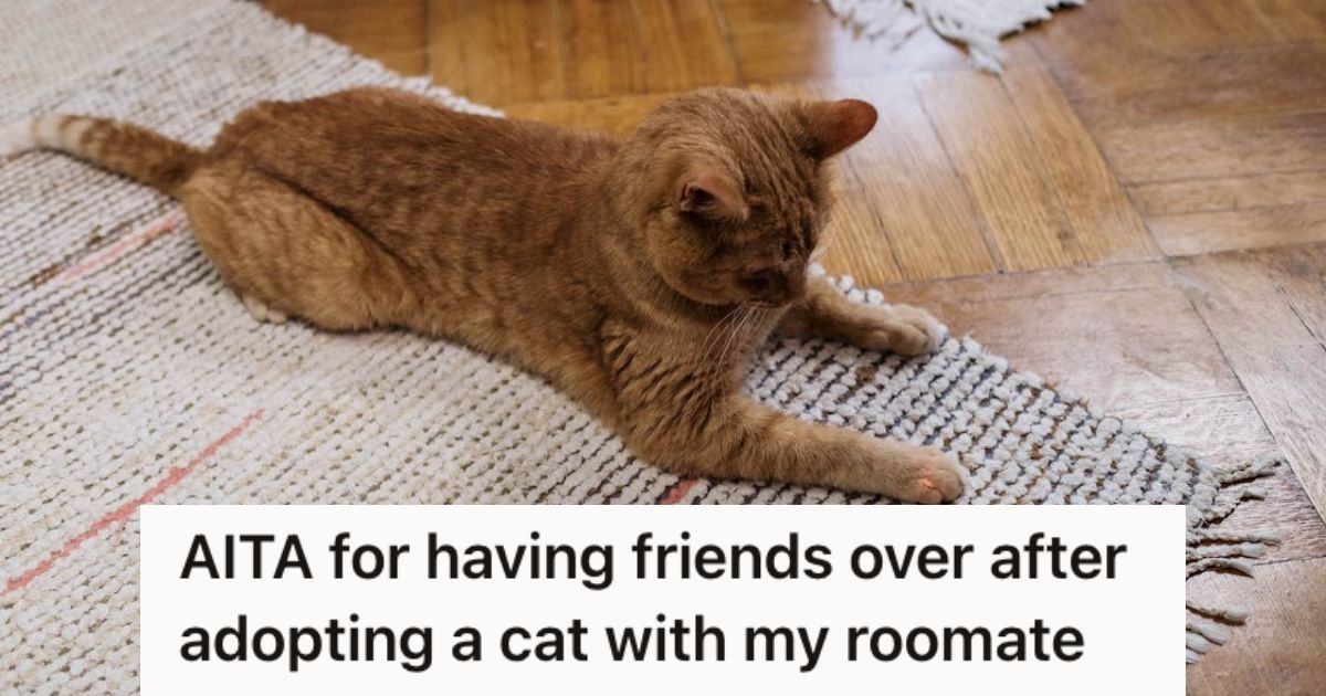 Cat resting on the carpet