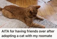Young Woman And Her Roommate Adopted A Cat And Were Advised To Minimize Stress, But She Invited Multiple Friends Over Just Days Later