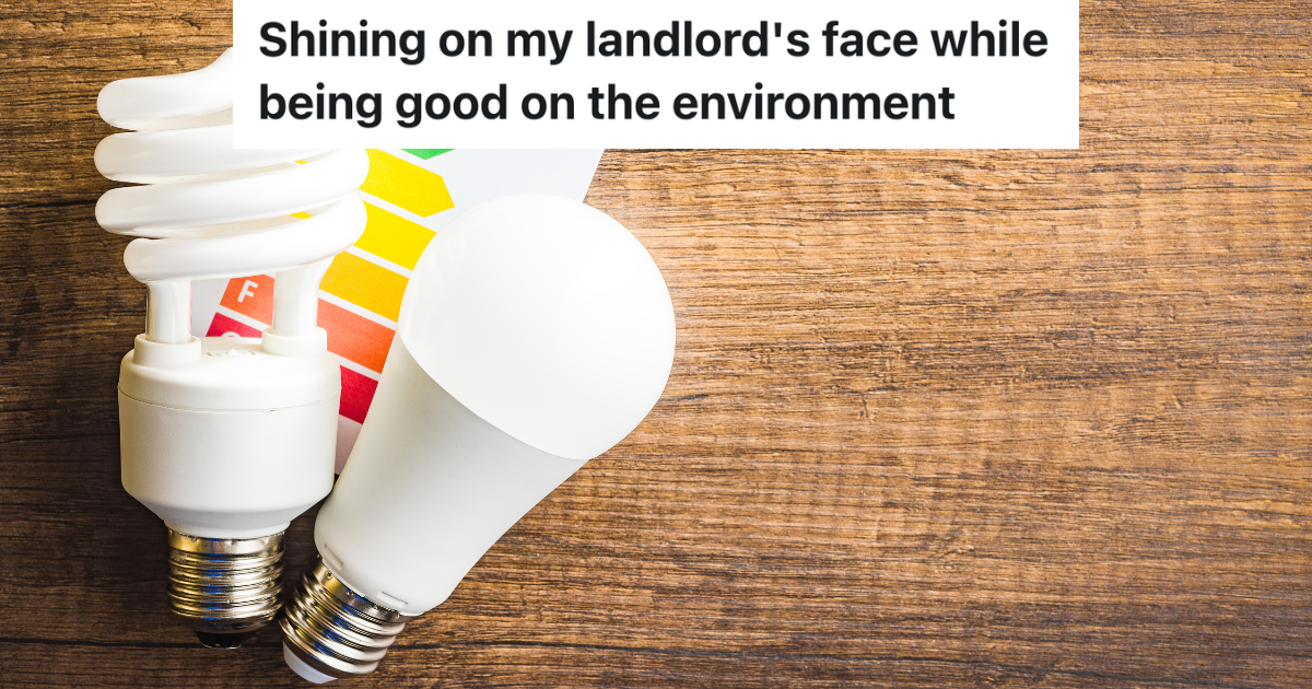 Landlord Wants Tenant To Use Less Electricity, So The Tenant Buys An Even Brighter Lightbulb Than He Already Had two energy saving lightbulbs on a wooden background