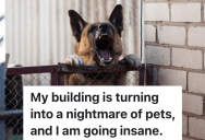 Worthless HOA Does Nothing When Renters Break The Rules, So The Whole Condo Has Become A Nightmare Living Situation