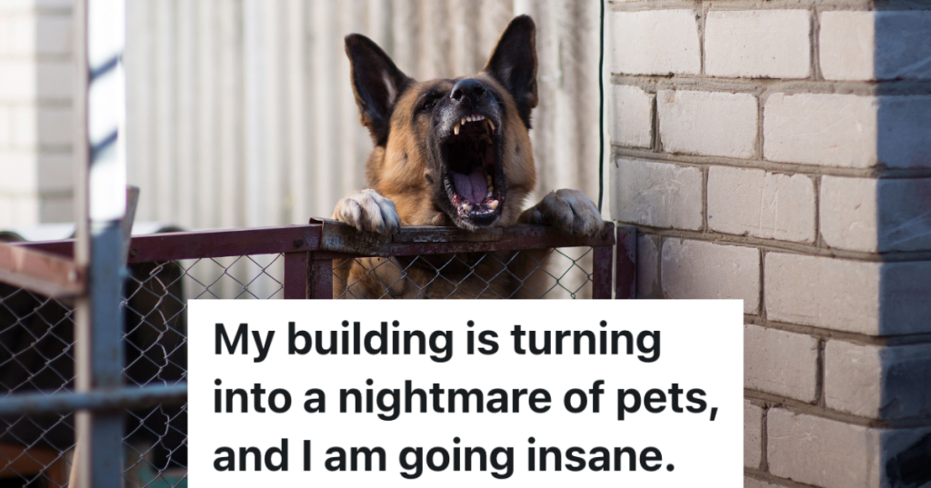 German Shepherd dog standing up and barking