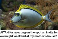 Fish Owner Needs To Get Home To Feed Them, But Her Mom Insists She Visit Her For The Weekend Right Now