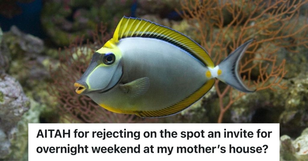 Blue tang fish swimming among coral