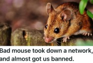 Computer Store’s Clients Had A Clear Rodent Problem, But The Word ‘Mouse’ Was Just The Start Of Some Serious Confusion