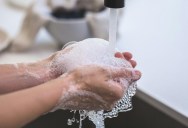 Clean Hands Is Your First Line Of Defense To Stay Cold And Virus Free, But Is Soap Or Hand Sanitizer Better For Keeping Them That Way?