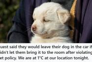 Hotel Front Desk Employee Tried To Enforce A No Pets Policy, But The Guest Threatened To Leave His Puppy In A Freezing Car Unless The Rule Was Ignored