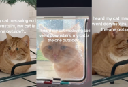 An Owner Got An Unexpected Surprise When A Cat That Didn’t Belong To Her Got Into Her House
