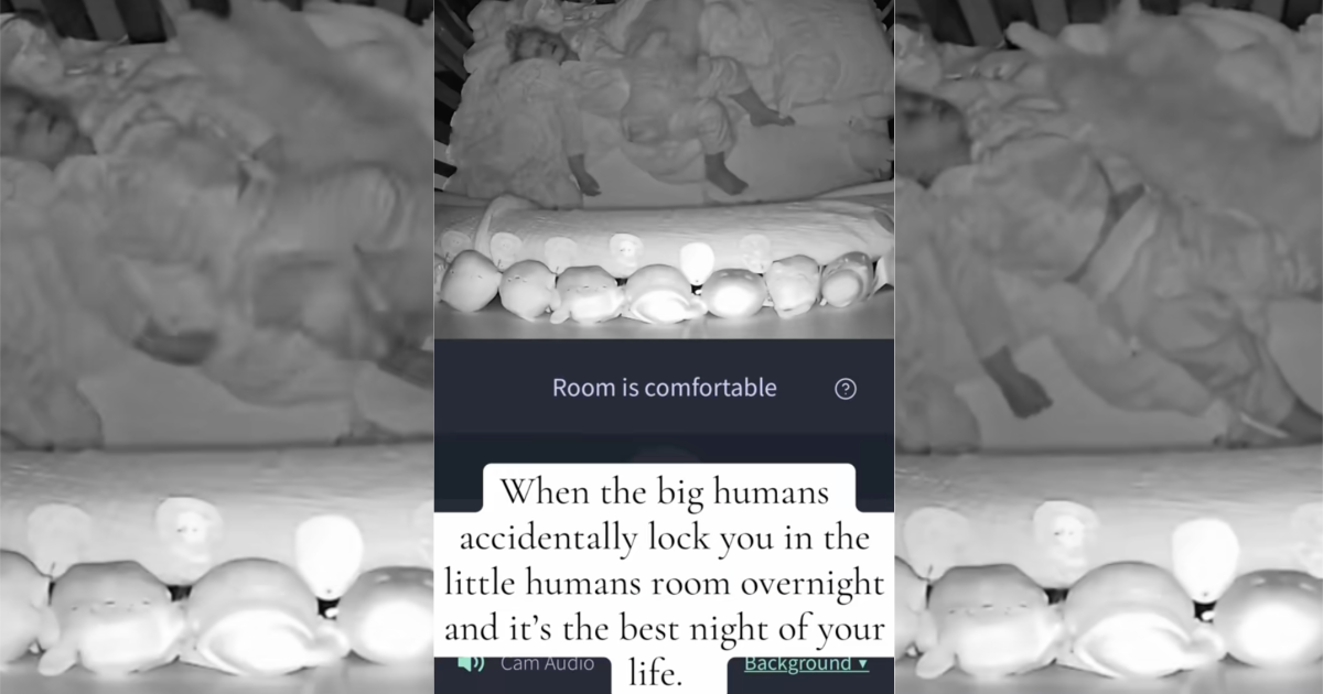 baby sleeping with a cat