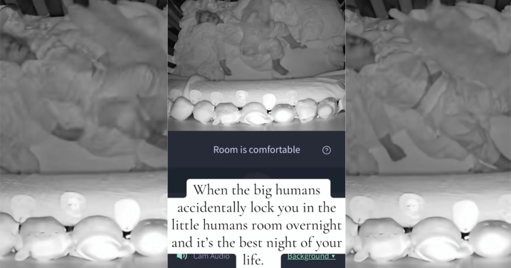 baby sleeping with a cat