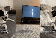 ‘She thinks Eleven is calling her.’ – A Dog Named Max Reacted After She Heard Her Name While Watching “Stranger Things”