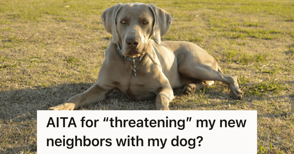 big dog laying in grass