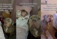 A Mom Found Her Dog Watching Over Her Daughter In Bed While The Little Girl Was Sick