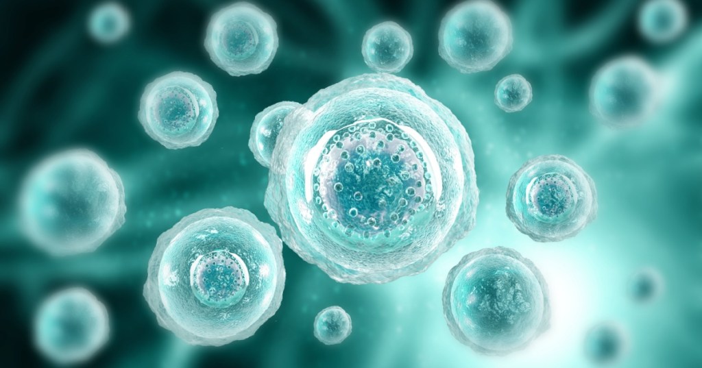Cells