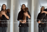 ‘They’re both sausages, but from different factories.’ – An Owner Showed The Huge Size Difference Between Her Two Dachshunds