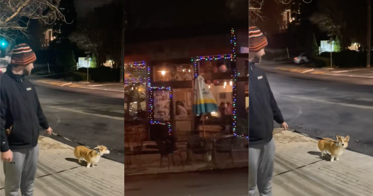 person walking a dog