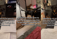 A Dog Loves His Owner’s Boyfriend More Than Her