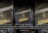 A Traveler Had An Interesting Way Of Calming Down Her Cat On The Animal’s First Plane Ride