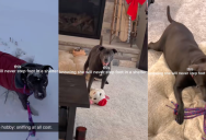 ‘3 years. 4 failed adoptions.’ – A Dog Who Was Returned To A Shelter Four Times Is Now Living A Great Life With Her New Owner