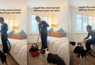 A Senior Dog Saw Its Owner In A Mirror And Had A Sweet Reaction