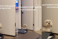 A Dog Wasn’t Happy When His Owner Was Two Minutes Late For Bedtime