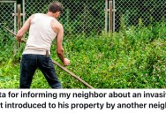 A Homeowner Found Out His Neighbors Planted Invasive Weeds To Mess With Other Neighbors, So Now They Want To Report Them To Their State Government