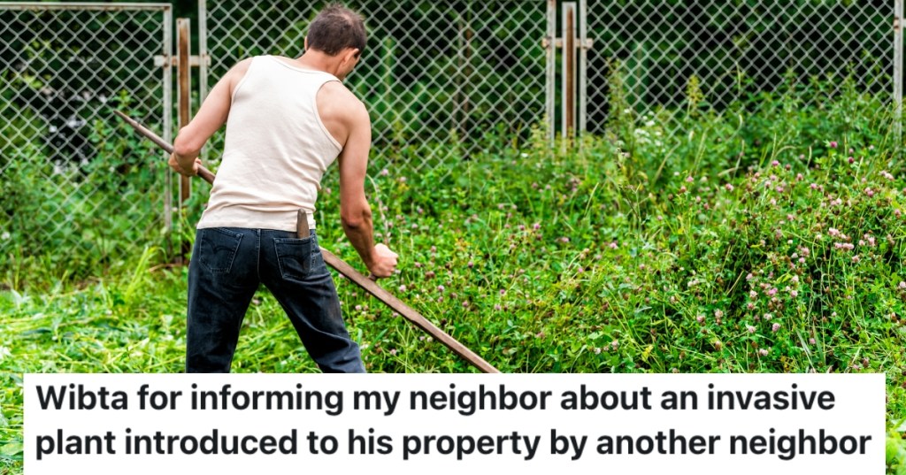 man cutting down weeds