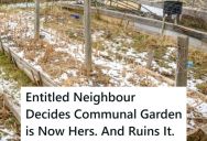 Woman Takes Over Shared Neighborhood Gardening Space, But She Does Such A Terrible Job That All The Plants Suffer