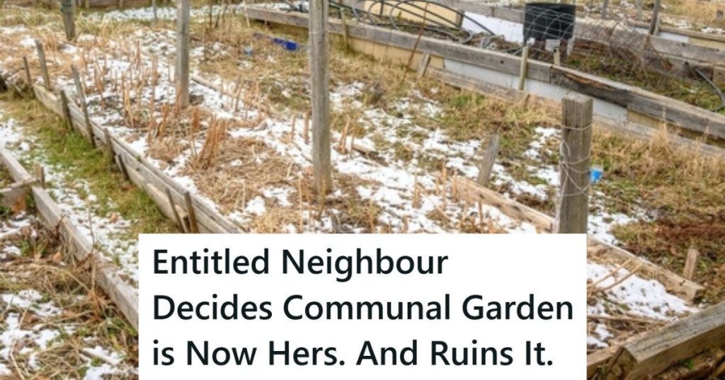 Dead garden