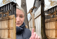 ‘Watch this PSA from my mom.’ – A Dog Is So Good At Climbing Things That Some People Think The Videos Are AI