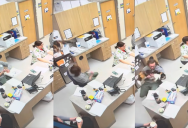 A Worker At A Vet’s Office Caught A Cat That Jumped Off Of A Cabinet