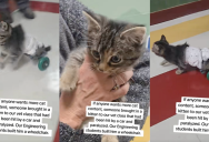 ‘He is so full of life!’ – A Paralyzed Cat Showed Up Near A School And Engineering Students Made Him A Wheelchair