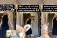 ‘When you tell your dog to move, but he ends up just wanting to watch.’ – An Owner Wanted Her Dog To Get Out Of The Way, But He Wanted To Watch Her Get Ready