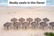 Chef Asked Dishwasher To Clean The Rented Barbecue, But When The Owner Saw How It Was Being Cleaned, He Freaked Out