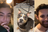 Dog Owner Realized Her Fur Looked Extra Shiny Because Her Boyfriend Used Human Shampoo