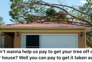 A Homeowner’s Neighbor Wouldn’t Pay To Have A Tree From Their Property Removed After It Fell On Her House, So She Told The Crew To Put It Back In His Yard