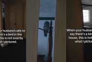 A Homeowner Was Surprised To Find An Owl In Her House