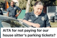 She Racked Up A Crazy Amount Of Money In Fines, But Is Expecting Her Coworker To Make It Go Away