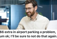 A Worker Got In Trouble For Submitting A $6 Parking Expense Reimbursement, So They Spent As Much Money As Possible On Things That Were Allowed By The Company