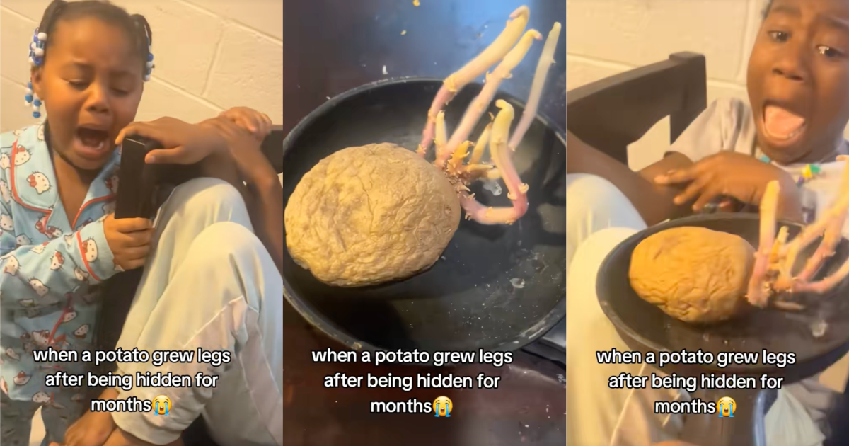 potato left out too long