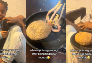 A Potato Sprouted Legs After Someone Forgot It Was Hidden In A Pantry For Months