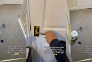 A Remote Worker’s Cat Brought A Toy To Her Door And Wanted To Play. – ‘How am I supposed to work when she just waits there for ages?’