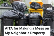 A Homeowner’s Neighbors Keep Using Their Trash Cans Without Permission, So They Dumped Their Garbage All Over Their Property