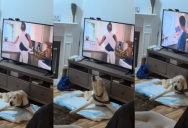 A Senior Dog Who Can Barely Walk Now Barks At His Owners When He Wants To Eat